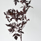 31" Faux Cimicifunga Ramosa Stem: Plum