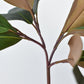 16.5" Faux Magnolia Leaf Stem