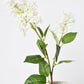 28.5" Faux White English Lilac Stem
