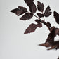 31" Faux Cimicifunga Ramosa Stem: Plum