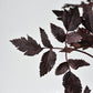 31" Faux Cimicifunga Ramosa Stem: Plum