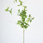 40" Faux Green Clematis Vine Stem