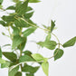 40" Faux Green Clematis Vine Stem