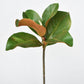 14" Faux Magnolia Leaf Stem