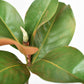 14" Faux Magnolia Leaf Stem