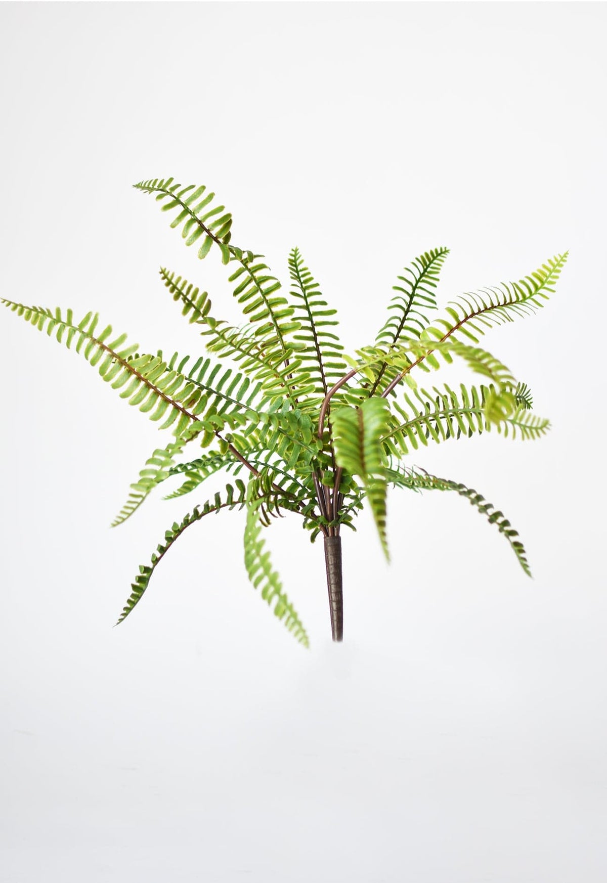 17" Faux Green Boston Fern Bush