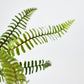17" Faux Green Boston Fern Bush