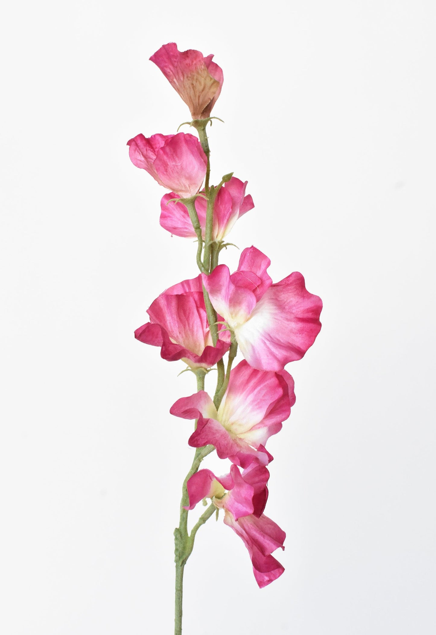 22" Faux Fuchsia Sweet Pea Stem