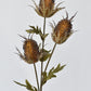 26" Faux Brown Thistle Stem