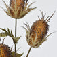 26" Faux Brown Thistle Stem