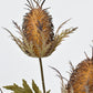 26" Faux Brown Thistle Stem