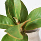 14" Faux Magnolia Leaf Stem