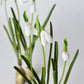 10" Faux Standing Snowdrop w/Bulb