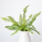 17" Faux Green Boston Fern Bush