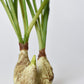 10" Faux Standing Snowdrop w/Bulb