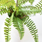 17" Faux Green Boston Fern Bush