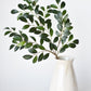 26" Faux Ruscus Leaf Stem