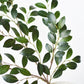 26" Faux Ruscus Leaf Stem