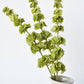 29" Faux Bells of Ireland