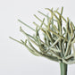 8" Faux Soft Touch Green/Gray Pencil Cactus Pick