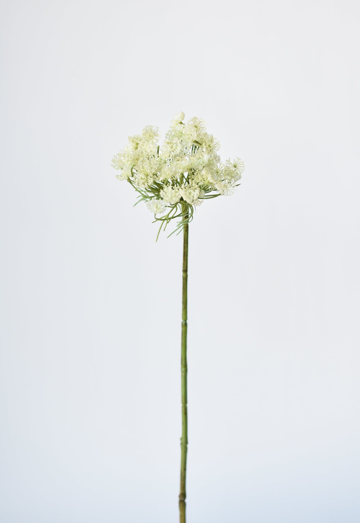 23" Faux White Queen Anne's Lace Stem