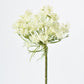 23" Faux White Queen Anne's Lace Stem