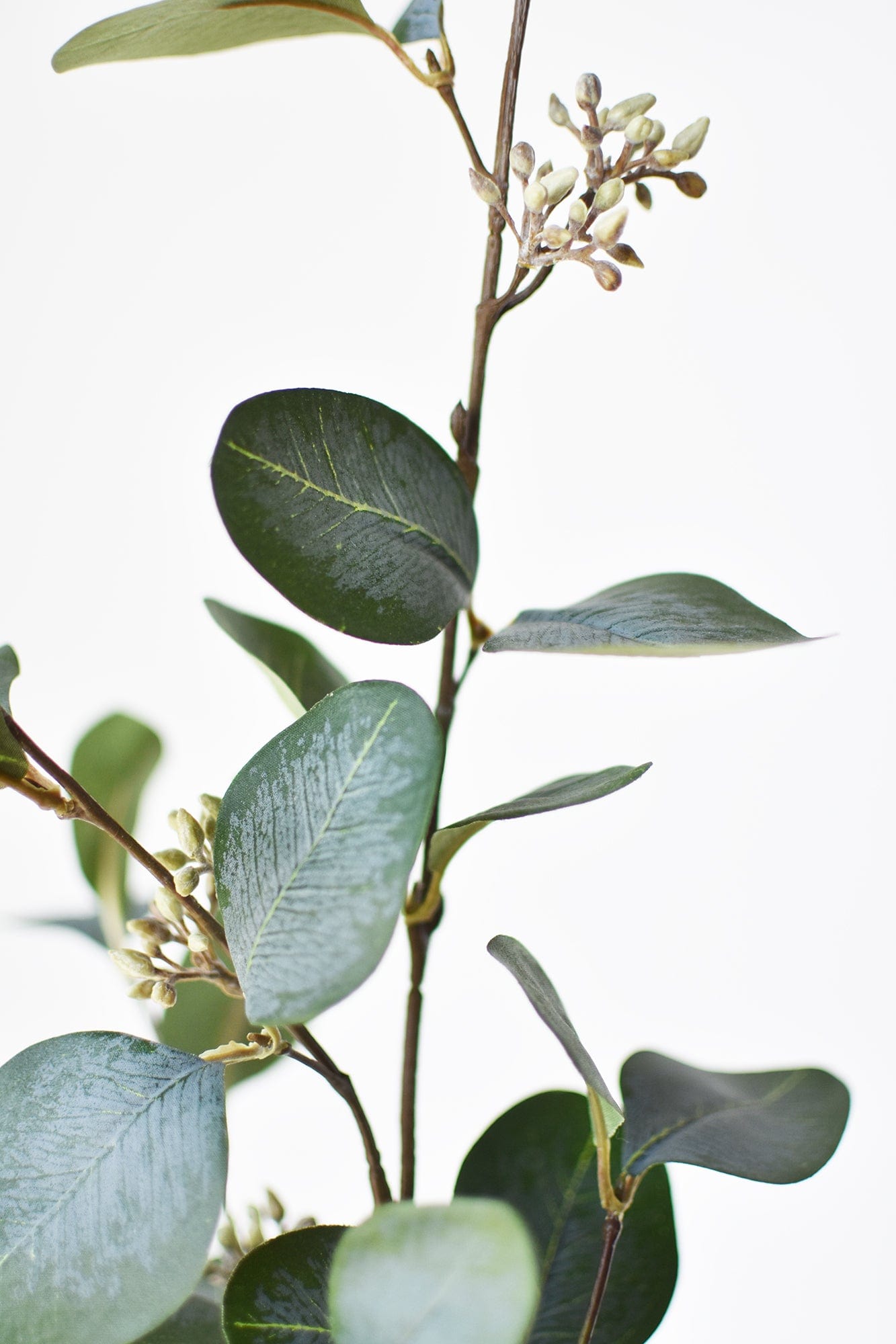 30" Faux Seeded Eucalyptus Stem