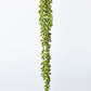 28" Faux String of Pearl Succulent Stem