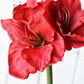 29" Faux Red Amaryllis Stem