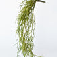 24" Faux Pencil Cactus Hanging Succulent Bush