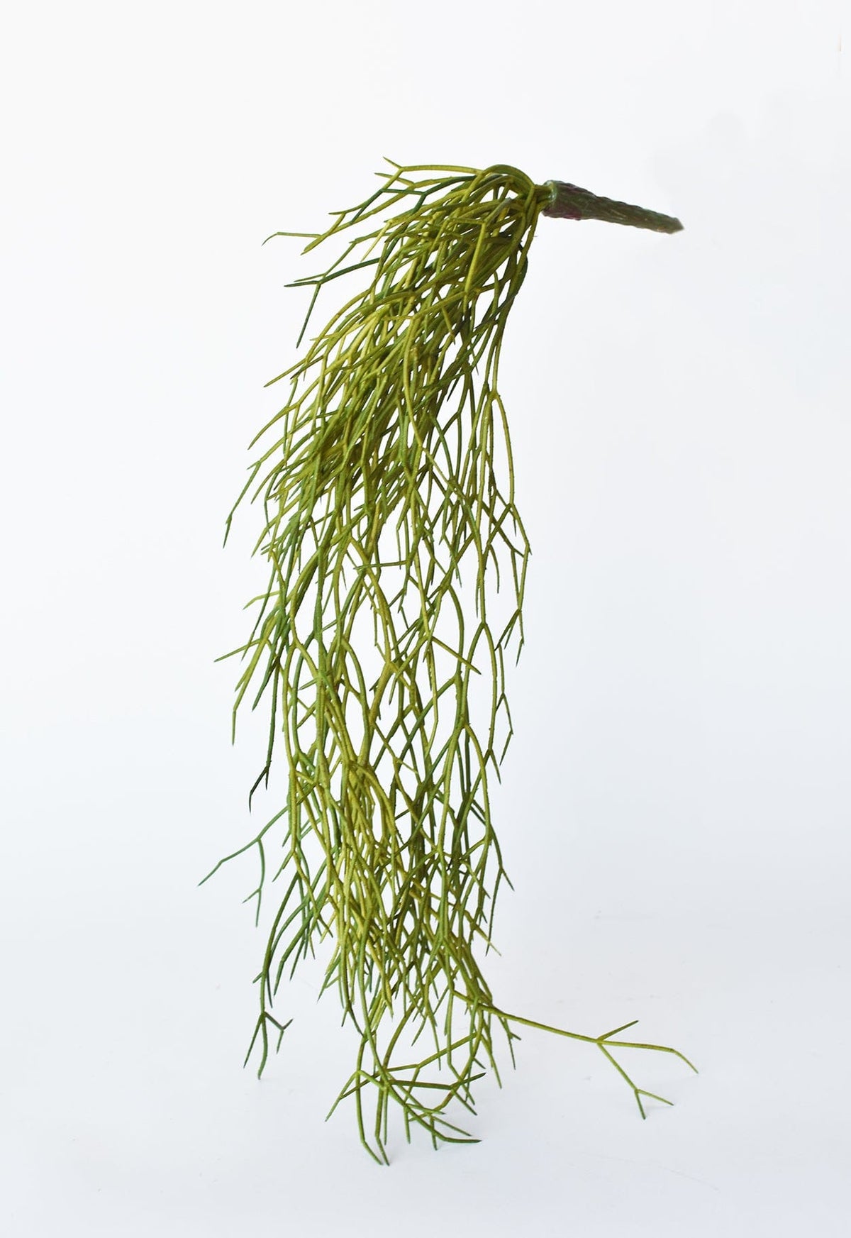 24" Faux Pencil Cactus Hanging Succulent Bush