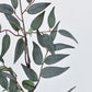 36" Faux Dark Green/Gray Ruscus Leaf Stem