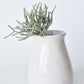 8" Faux Soft Touch Green/Gray Pencil Cactus Pick