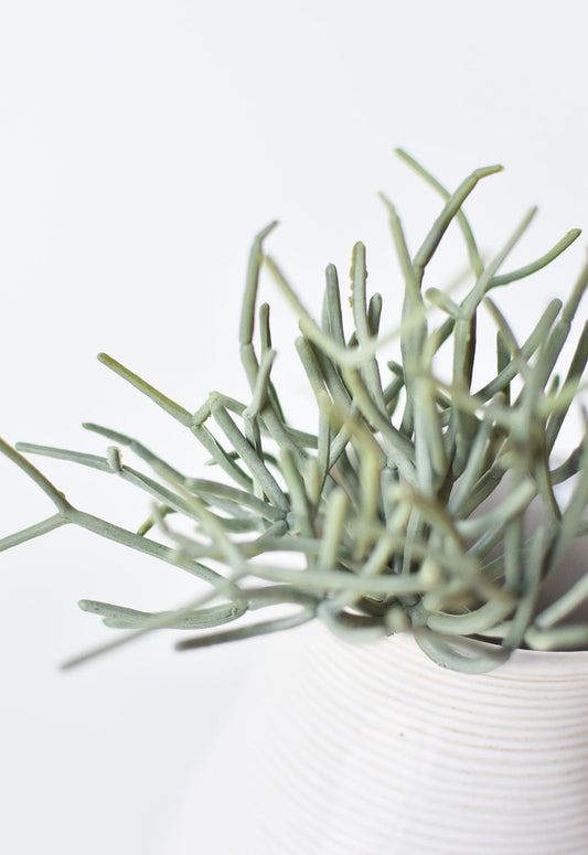 8" Faux Soft Touch Green/Gray Pencil Cactus Pick