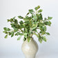 21.5" Faux Real Touch Variegated Green Pittosporum Spray Stem