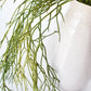 24" Faux Pencil Cactus Hanging Succulent Bush