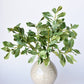 21.5" Faux Real Touch Variegated Green Pittosporum Spray Stem