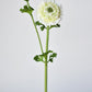 21" Faux Double Ruffled Ranunculus Stem White