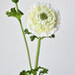 21" Faux Double Ruffled Ranunculus Stem White