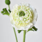 21" Faux Double Ruffled Ranunculus Stem White