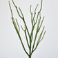 23" Faux Green Pencil Cactus Succulent Stem