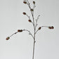 40" Faux Acorns on Branch