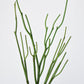 23" Faux Green Pencil Cactus Succulent Stem
