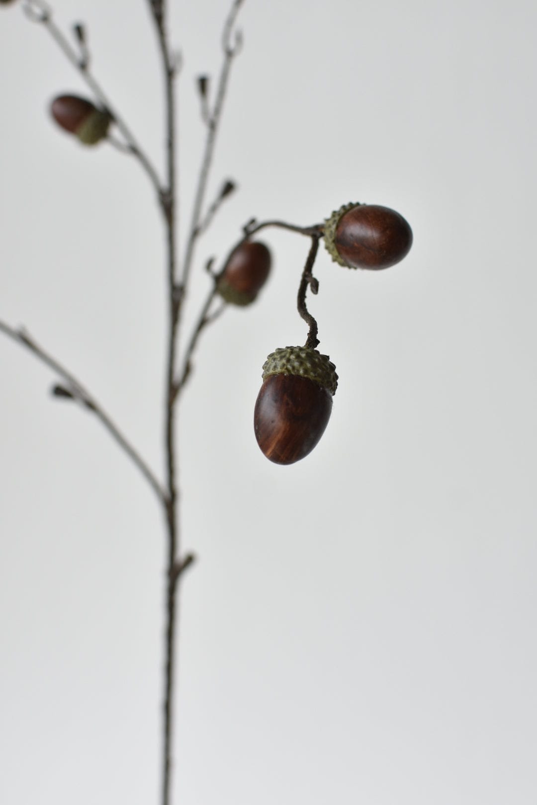 40" Faux Acorns on Branch