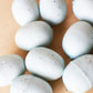 1.5" Faux Light Blue Eggs Assortment