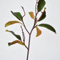 26" Faux Magnolia Leaf Branch Stem