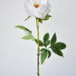22" Faux White Peony Stem