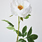 22" Faux White Peony Stem
