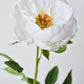 22" Faux White Peony Stem