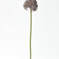 17.5" Faux Purple Allium Spray Stem